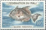 [Pesci - Tipografia: Atelier de Fabrication des Timbres-Poste, Paris, Scrivi G]