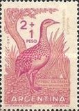 [Child Welfare - Birds, type QY]