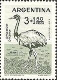 [Child Welfare - Birds, type QZ]
