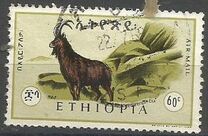 [Airmail - Animals, Scrivi QG]