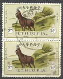 [Airmail - Animals, Scrivi QG]