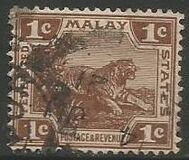 [Tiger - New Colors, type C33]
