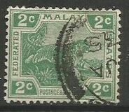 [Tiger - New Colors, type C34]