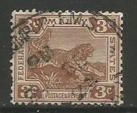 [Tiger - Different Watermark, tip C45]