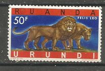 [Endangered Animals - Big Cats, type CN]