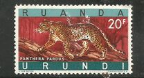 [Endangered Animals - Big Cats, type CM]