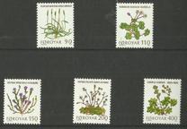 [Plantas silvestres., tipo AK]