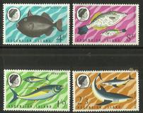 [Fish, Вид BL]