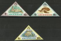 [Turtles, тип DK]