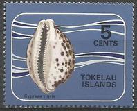 [Shells of the Coral Reefs, type AJ]