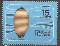 [Shells of the Coral Reefs, type AK]