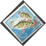[Fish, veids MR]