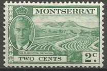 [Local Motifs & King George VI, type W]