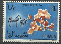 [Somali Flora and Fauna, tip CE]