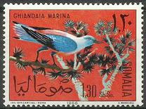 [Somali Birds, type CI]