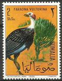 [Somali Birds, type CJ]