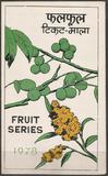 [Fruits, Scrivi IF]