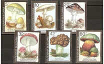 [Poisonous Mushrooms, type EKM]