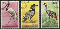 [Birds, Tipi DC]