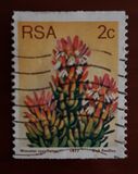 [Flora - Protea Plants - Coil Stamps, type PY]