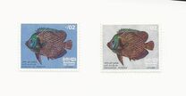 [Fish, type D]