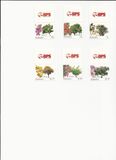 [Flowering Trees, 類型 AVW]