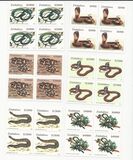 [Snakes of Zimbabwe, type VD]