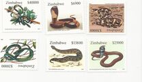 [Snakes of Zimbabwe, type VD]