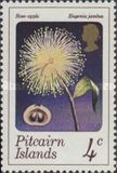 [Flowers and Fruits of Native Trees and Shrubs, タイプ DZ]