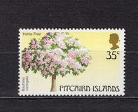 [Trees of Pitcairn Islands, տեսակ HZ]