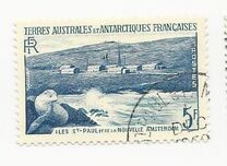 [Penguins and Seals, type C]