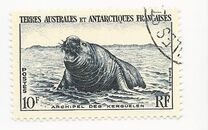 [Penguins and Seals, type D]
