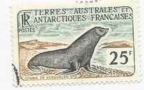 [Animals of Antarctica, Typ O]