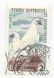 [Animals of Antarctica, Typ M]