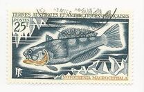 [Fish, type BE]