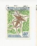 [Insects, 類型 BO]