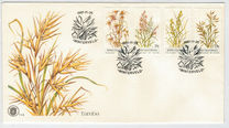 [Indigenous Grasses, tegund CB]