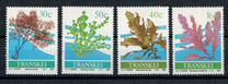 [Seaweed, タイプ HG]