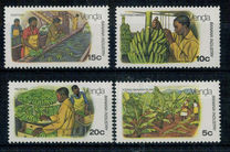 [Banana Cultivation, Tipi AD]