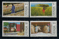 [Sisal Cultivation, тып BB]