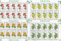 [Fruits, type ICV]