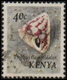 [Seashells, type AO]