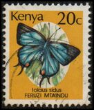 [Butterflies, type OY]