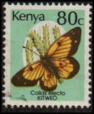 [Butterflies, type PC]