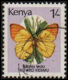 [Butterflies, type PD]