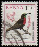 [Birds, Typ VI]