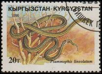 [Reptiles, タイプ DD]