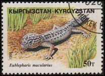 [Reptiles, タイプ DF]