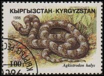[Reptiles, タイプ DG]