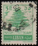 [Cedar of Lebanon, tegund GD3]